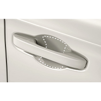 Door handle protection